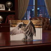 Crystal Glass Desk Decor – Featuring MB Gallery’s Falcon Photography