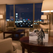 Crystal Glass Desk Decor – Featuring MB Gallery’s Falcon Photography