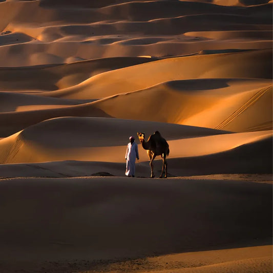 Desert