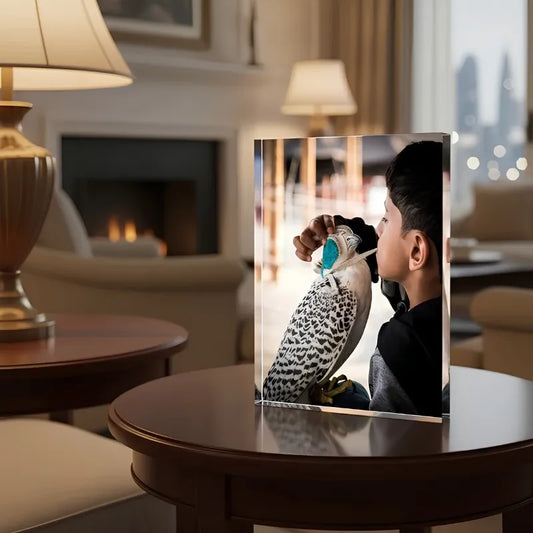 The Falcon & The Boy
