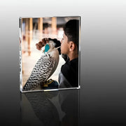 The Falcon & The Boy